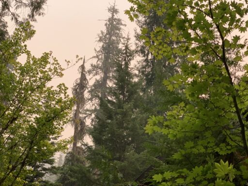 Smoky Oregon air